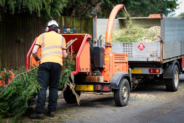 Best Commercial Tree Services  in , GA